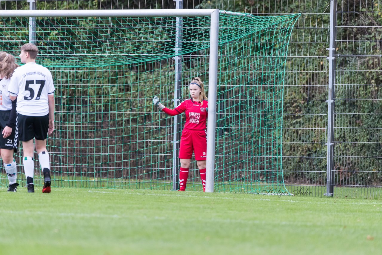 Bild 89 - B-Juniorinnen SV Henstedt Ulzburg - Hamburger SV : Ergebnis: 2:3